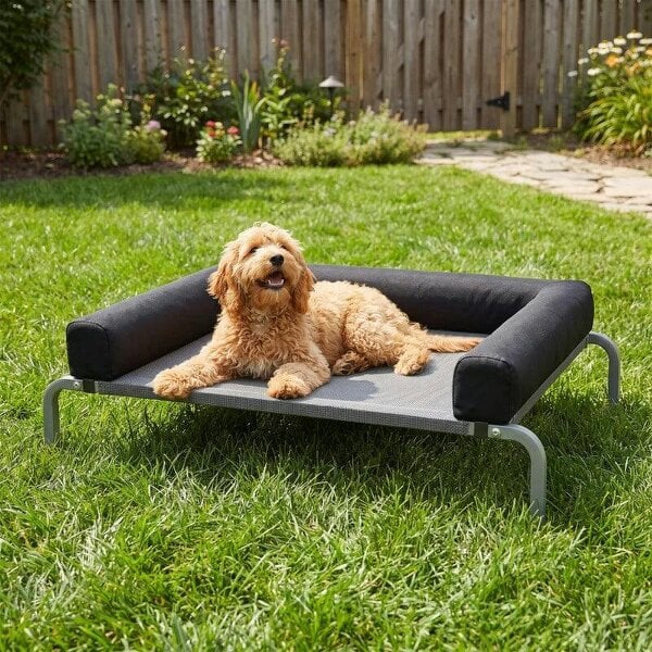 Elevated Dog Bed with Removable Bolsters, Raised Dog Bed for Small Breeds, Portable Indoor & Outdoor Pet Cots, Black