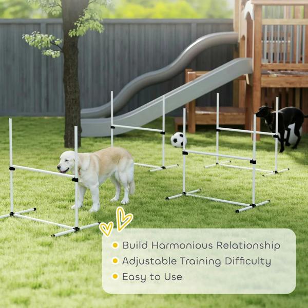 White dog agility obstacle set with adjustable jump hurdles on outdoor lawn