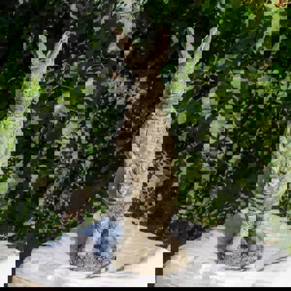 Cute Stone Cast Flopsy Bunny Large Garden Sculpture