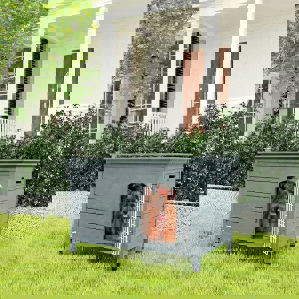 D02-044V01CG