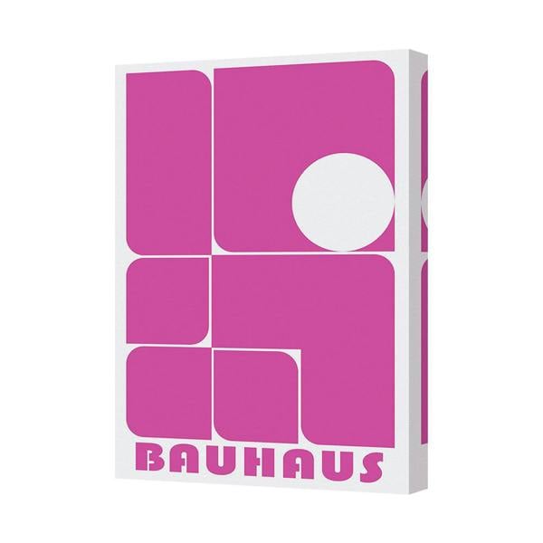 Benjamin Tate Design Bauhaus Pink Geometric Canvas Art Print Wall Decor Modern Abstract