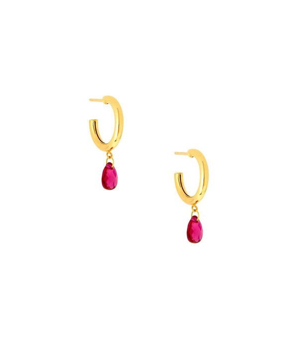 Hafeez Jewellery Anaar Ruby Earrings