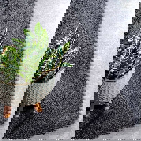 Myk Olaf High Pile Rug Plain Design