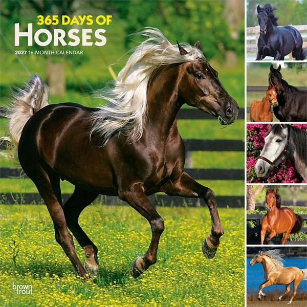 365 Days Of Horses Calendar 2027, Wall Calendars, Month To View, Animals, Gift