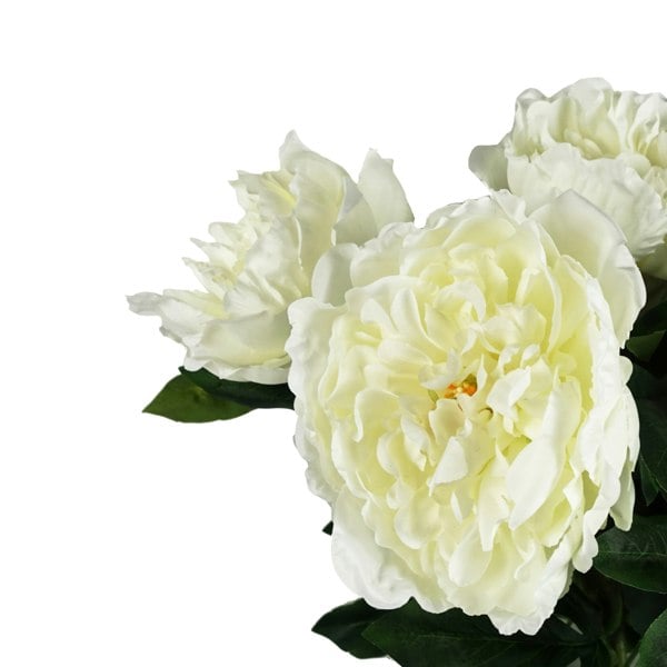 Leaf Pack of 6 x 80cm Artificial White Peony Stem