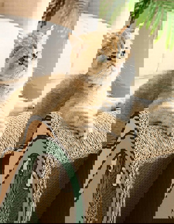 CL21 Cat Scratching Post, Climbing toys, Cardboard, Cat Scratcher-Weilai concept-Weilai Concept