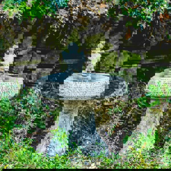 Garden Birdbath Kiss of Sun with Bird atop