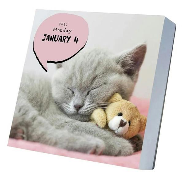 Cat A Day Desk Calendar 2027, Desk Calendars, Day To View, Cats, Gift