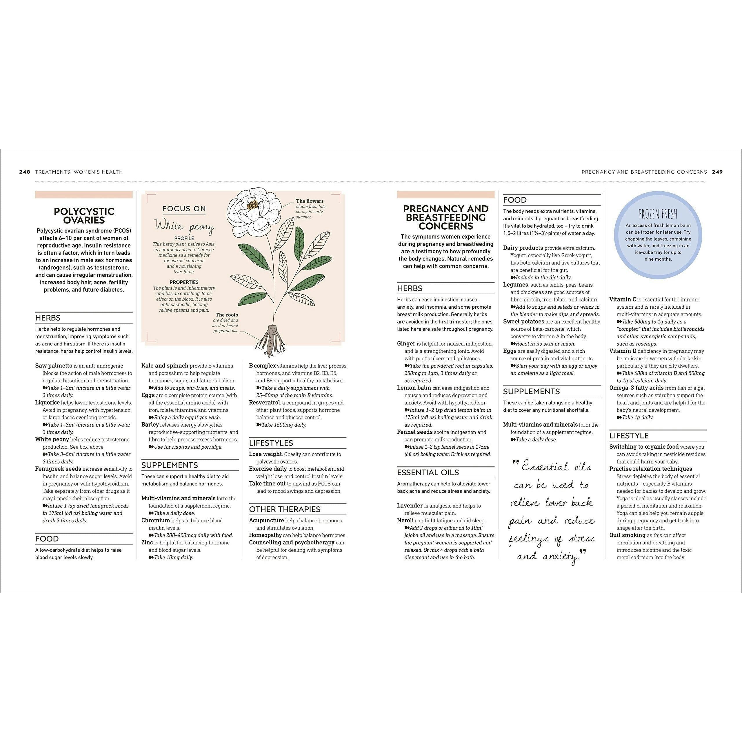 Dorling Kindersley Neal's Yard Remedies Complete Wellness: Enjoy Long-Lasting Health And Wellbeing