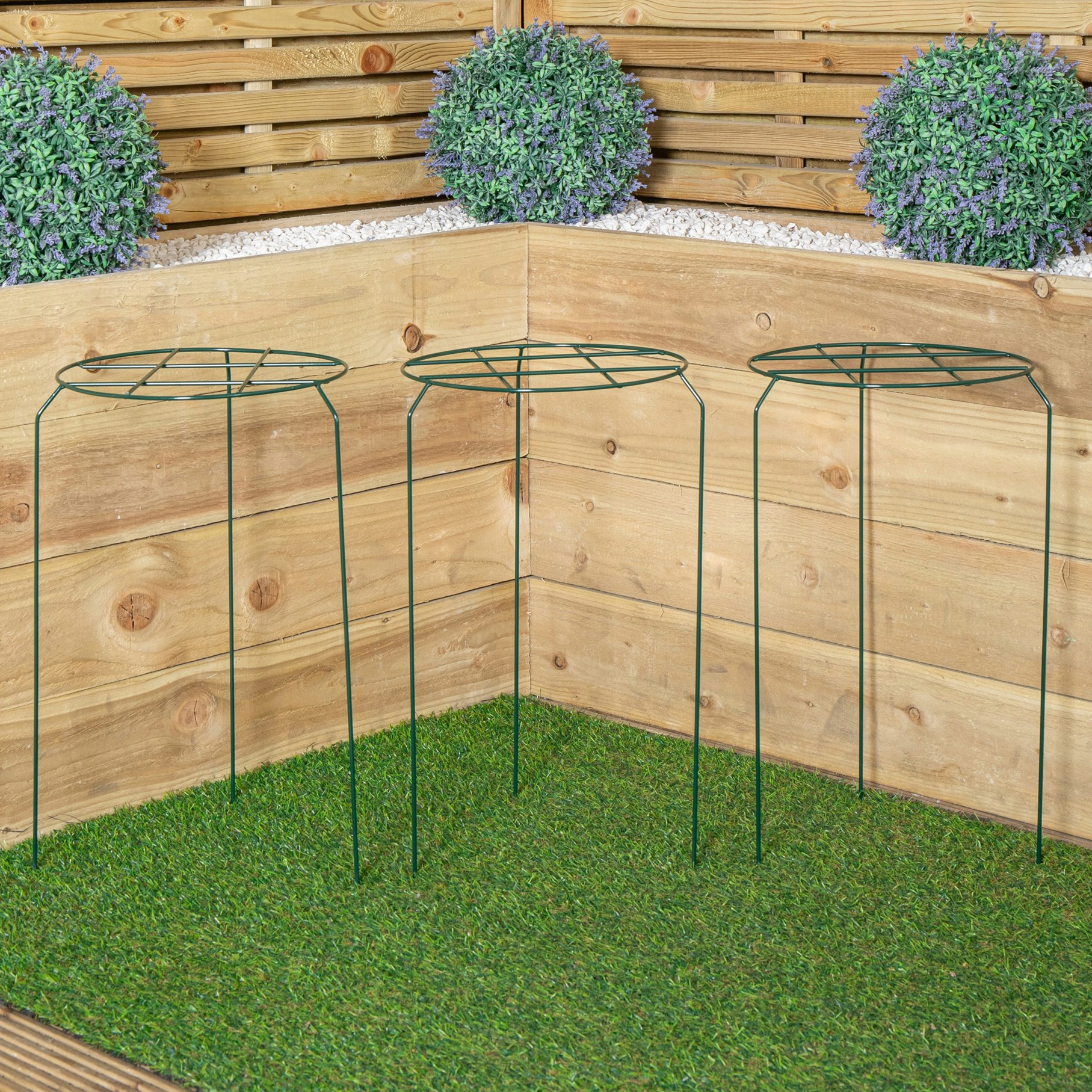 Rackhams Dark/Green Tom Chambers Pack Of 3 Urban Metal Herbaceous Garden Plant Support Grow Through Medium 50Cm X 30Cm