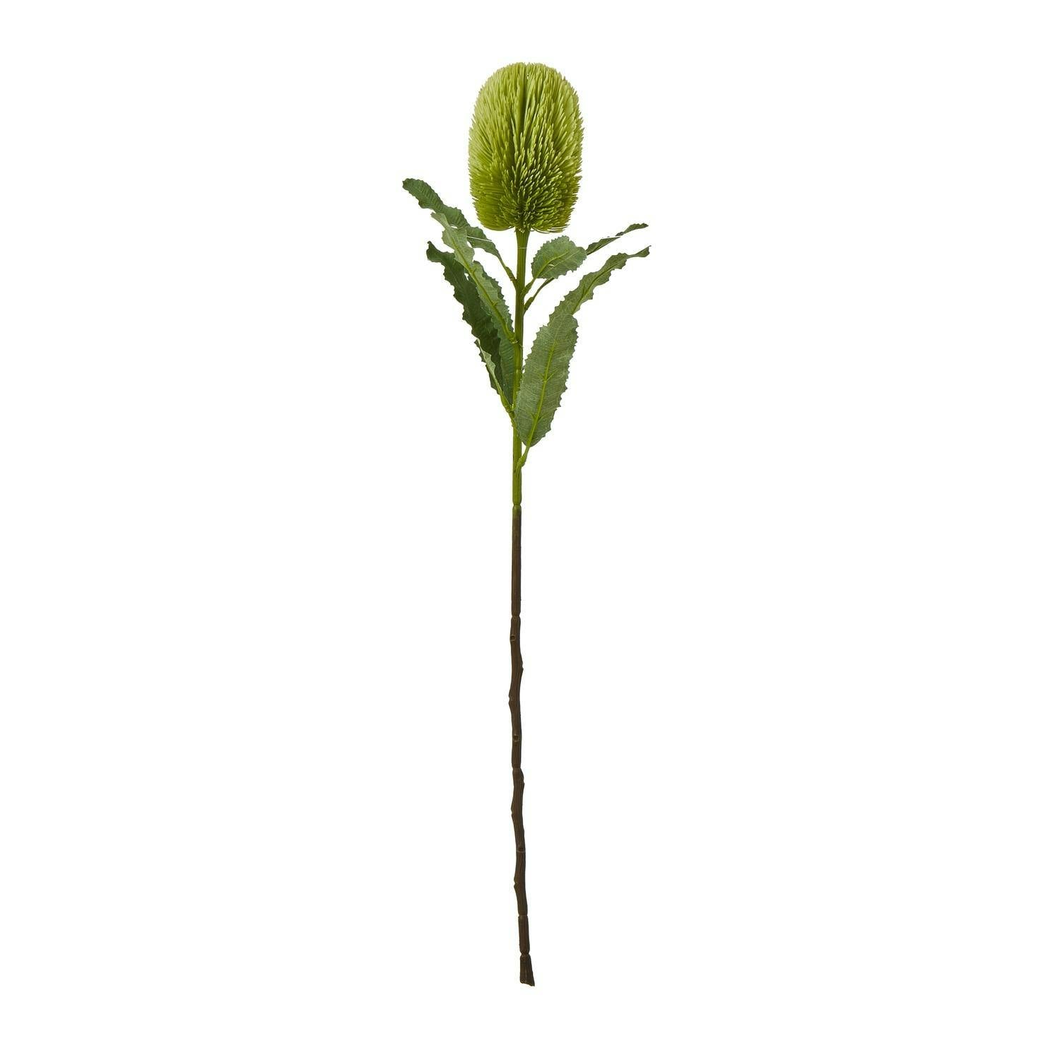 Hill Interiors Banksia Serrata Artificial Flower in Green - Image 4