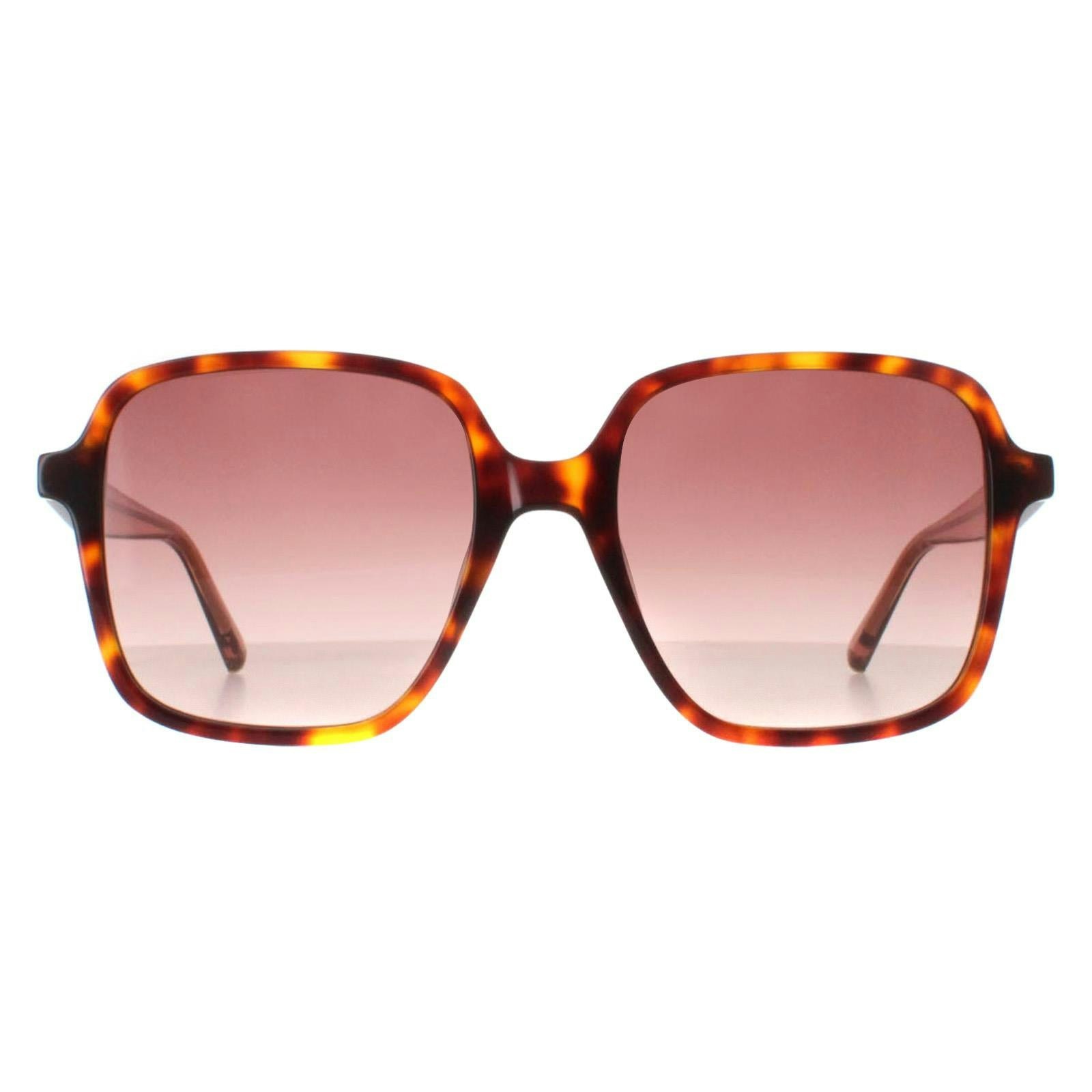 Ted Baker Women's Pink Tb1688 Tortoise Sunglasses