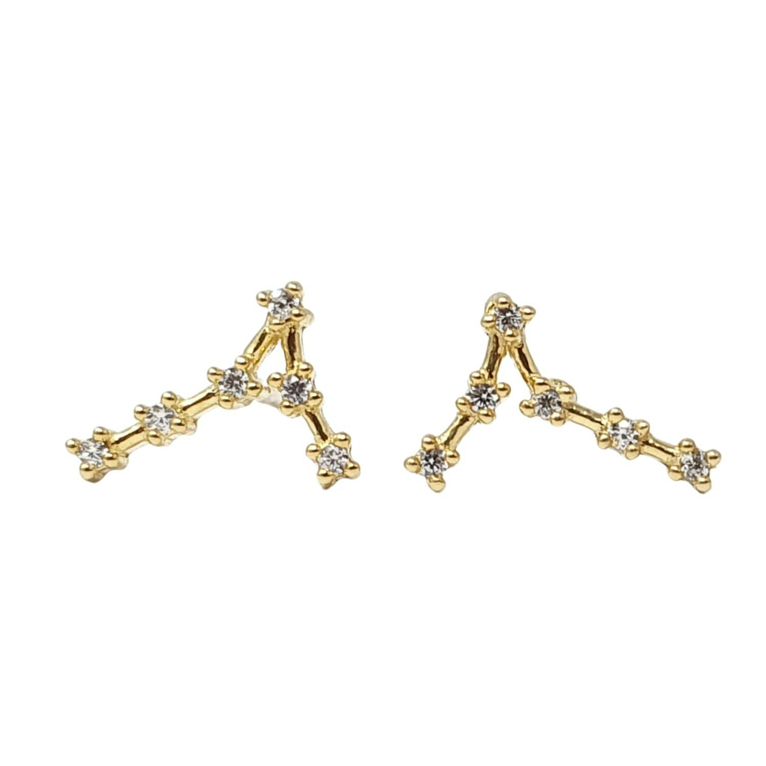 Harfi Pisces Star Sign Constellation Astrology Tiny Earrings