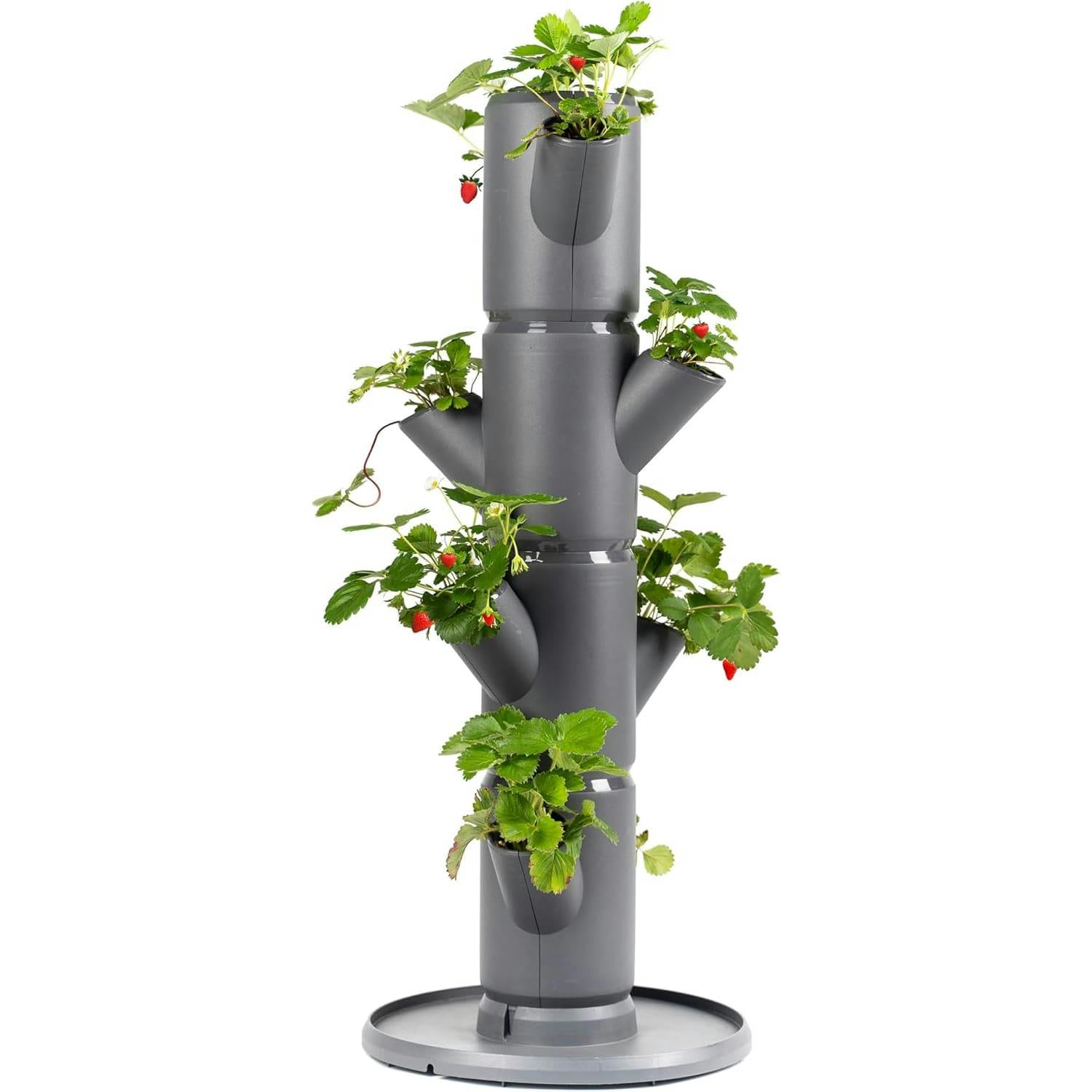 Gusta Garden Anthracite Sissi Strawberry - Planter/Pot/Plant Tower/Raised Bed For Strawberries - For Balcony, Garden And Patio - Plant Strawberries And Herbs (Starter, /Gray) - Image 3