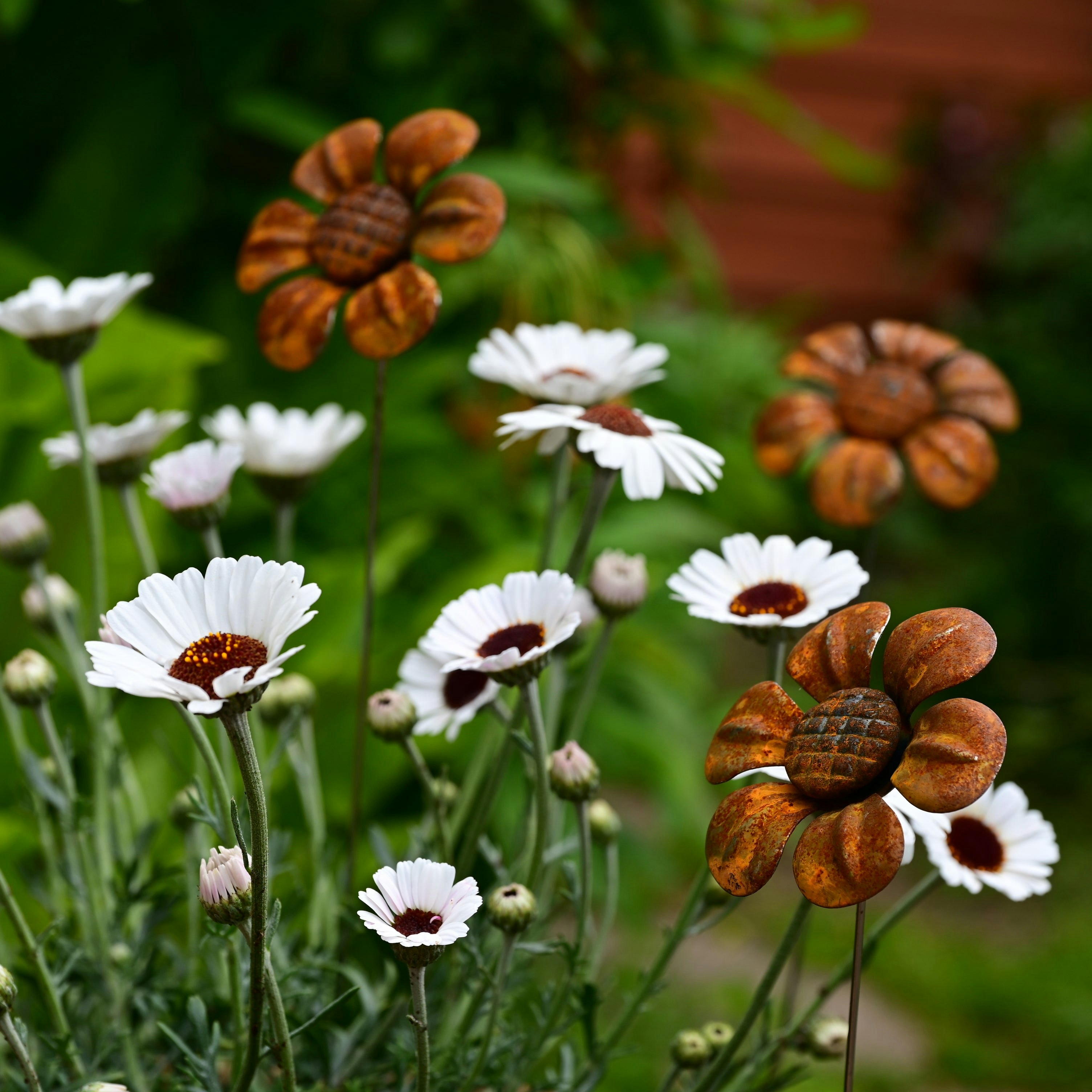 Savage Works Rusty Metal Daisy - Three