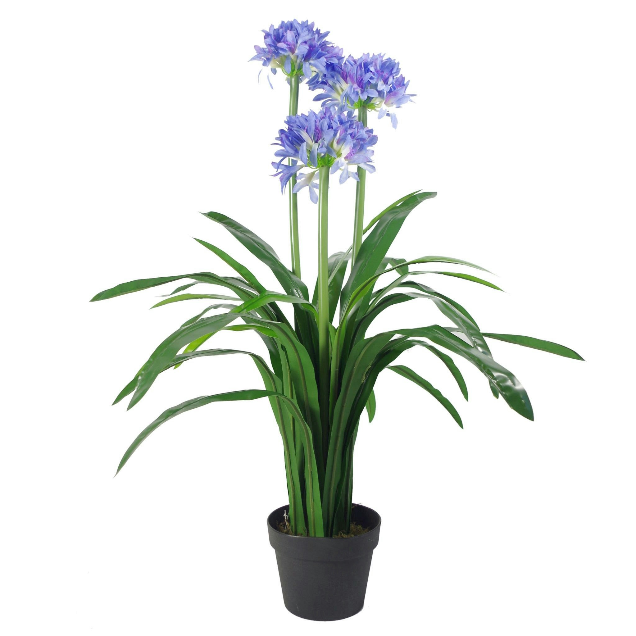 Leaf Blue/Green Premium Artificial Agapanthus With Pot Blue - - - 90Cm