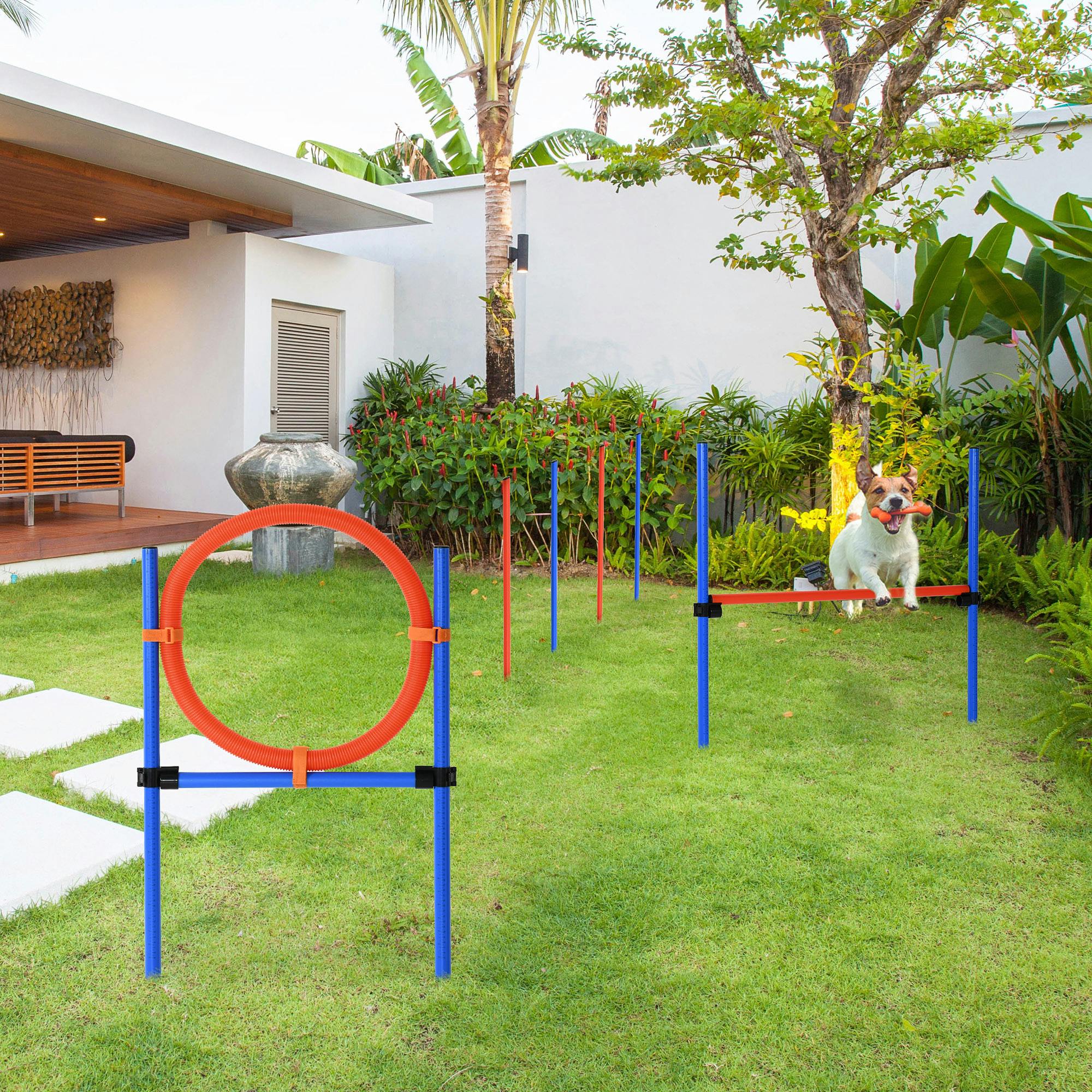 Pawhut Blue Pet Agility Set Training Play Kit Dog Jump Hoop Poles Tunnel Obedience In - Image 10