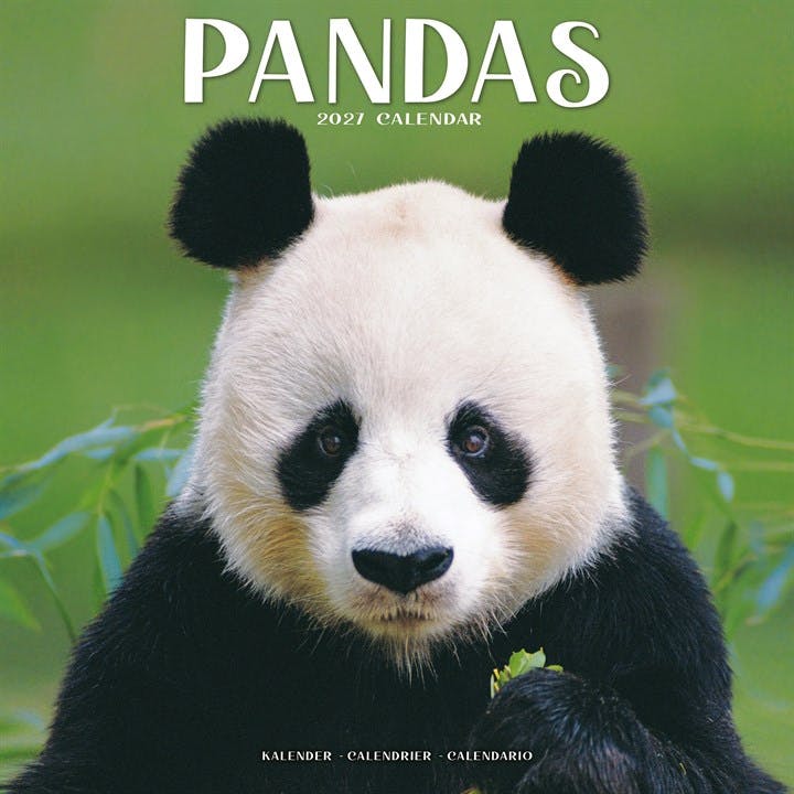 Rackhams Red Pandas Calendar 2027, Wall Calendars, Month To View, Animals, Gift - Image 7