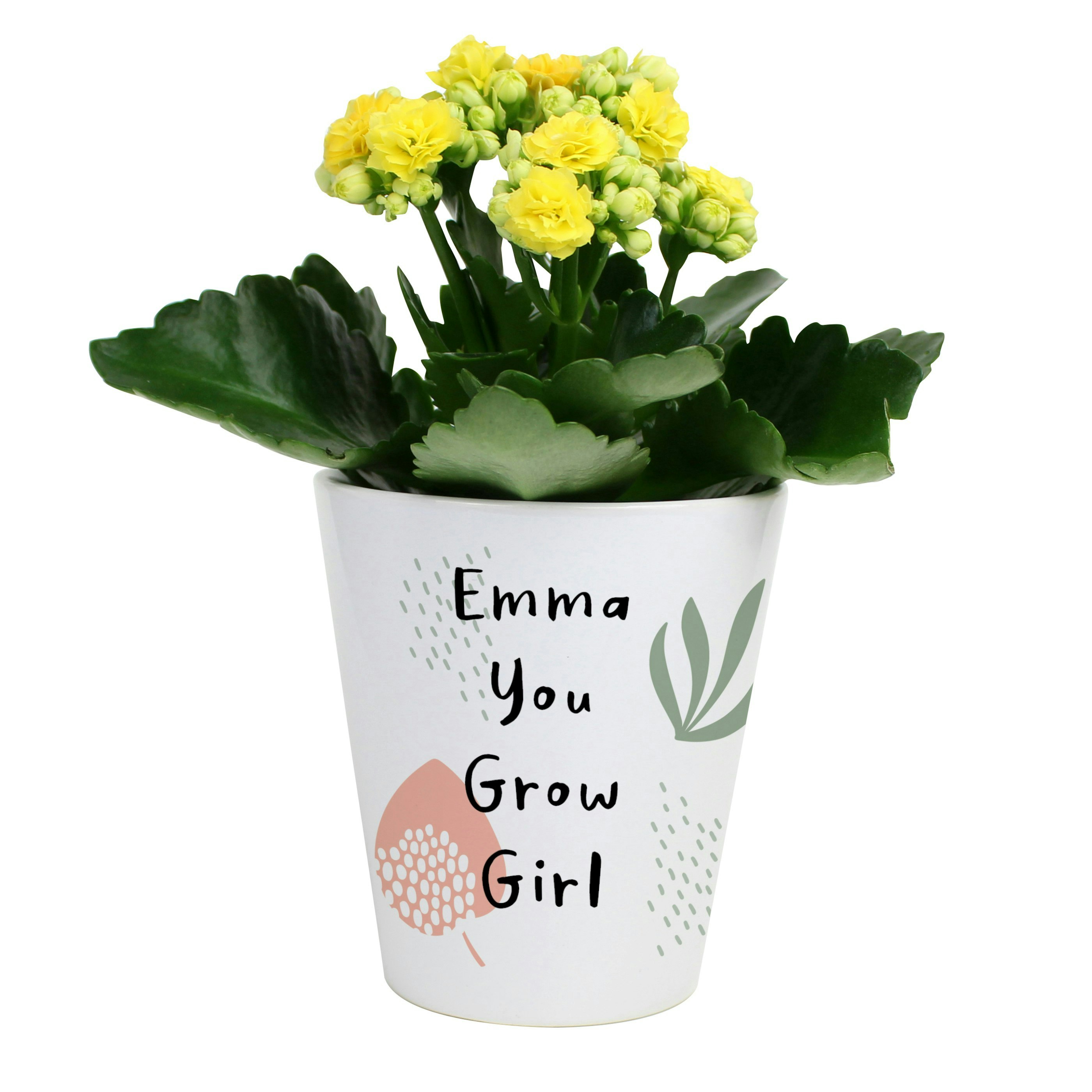 Rackhams Personalised Abstract Pattern Plant Pot