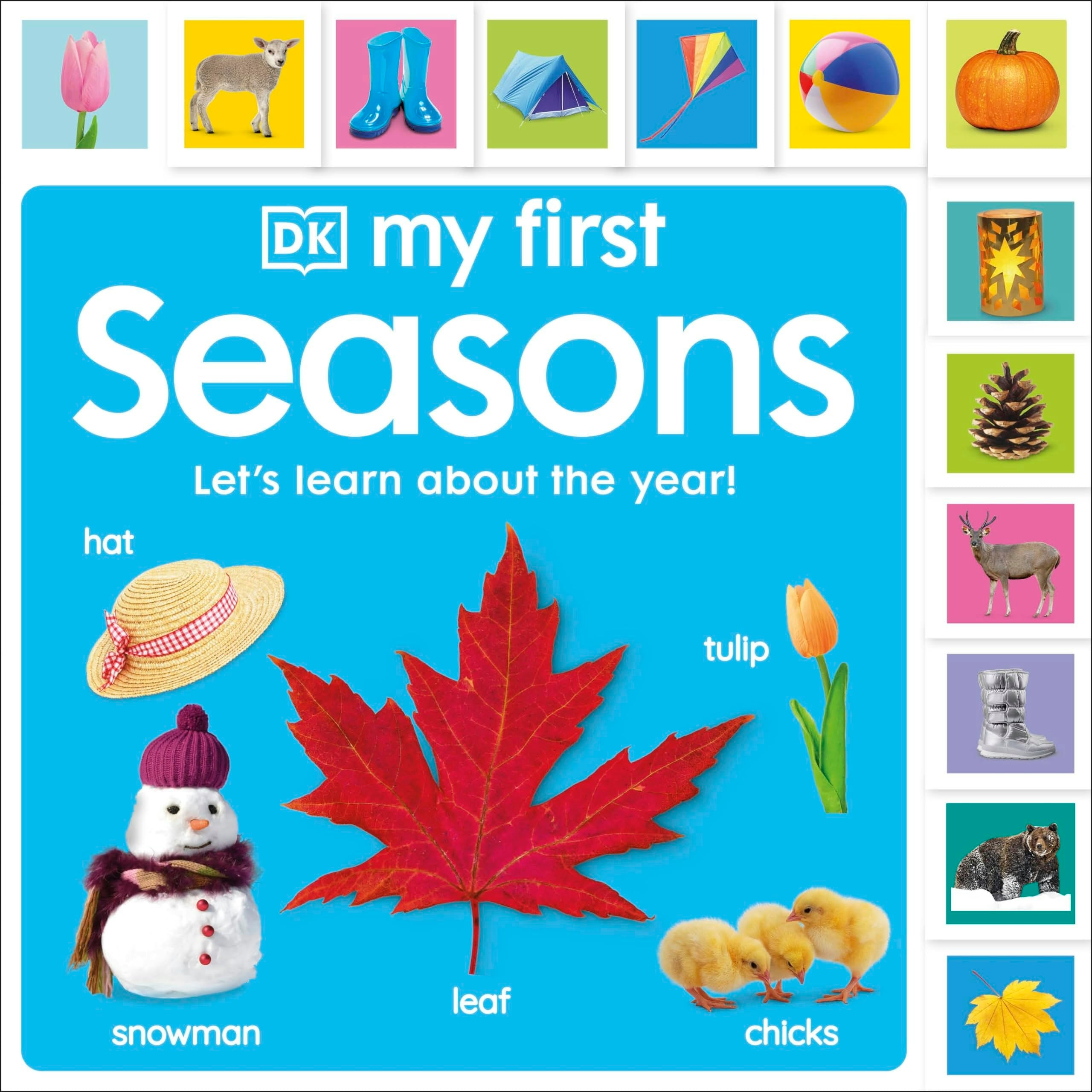 My First Seasons: Let's Learn About The Year! Dk - Image 17
