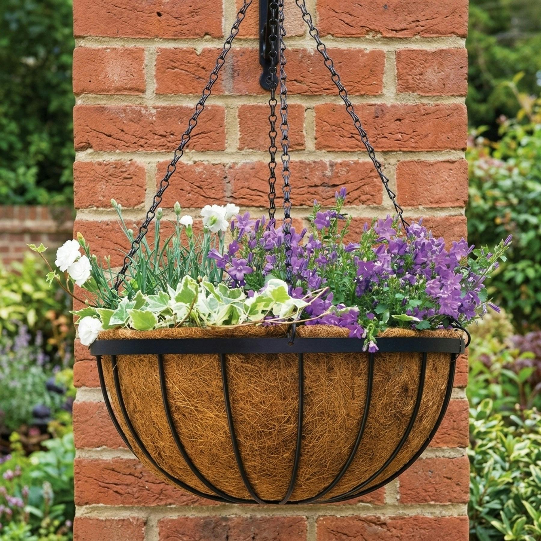 B&Q -  35Cm 14 Inch Metal Saxon Metal Hanging Basket Black Planter Liner - Image 7