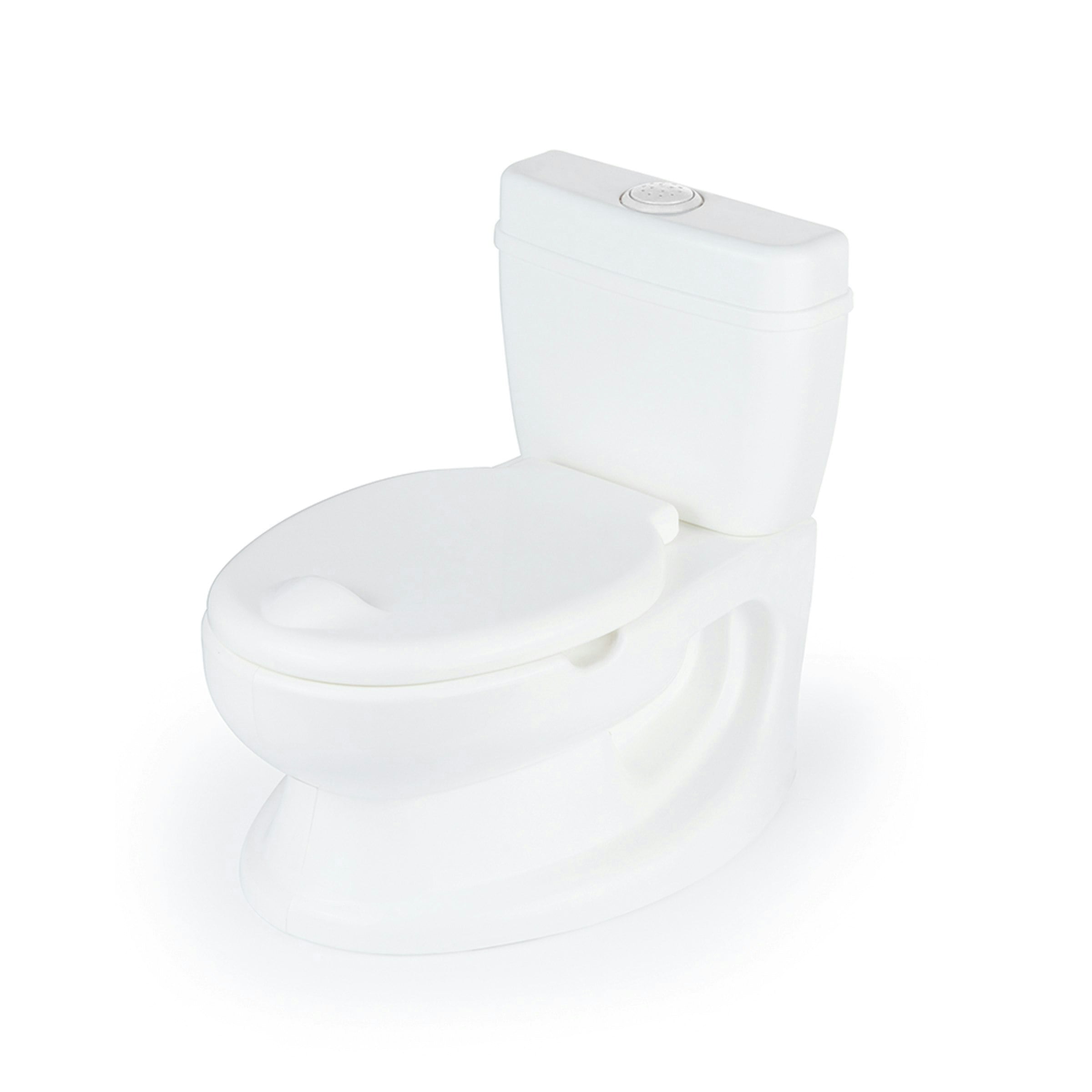 Dolu Educational Potty