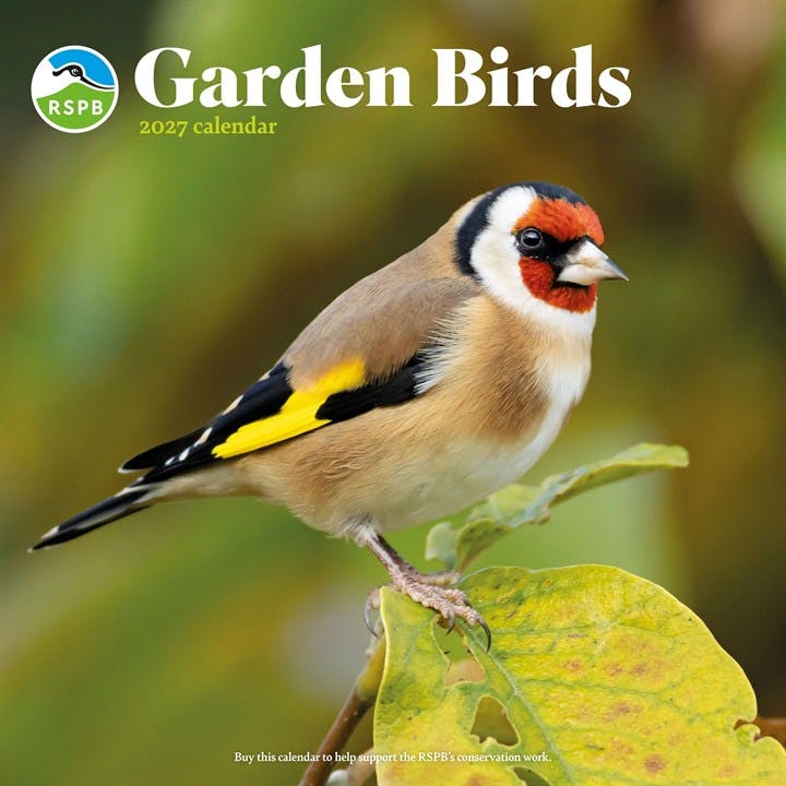RSPB, Garden Birds 2027 Large Month To View Wall Calendar - Image 8