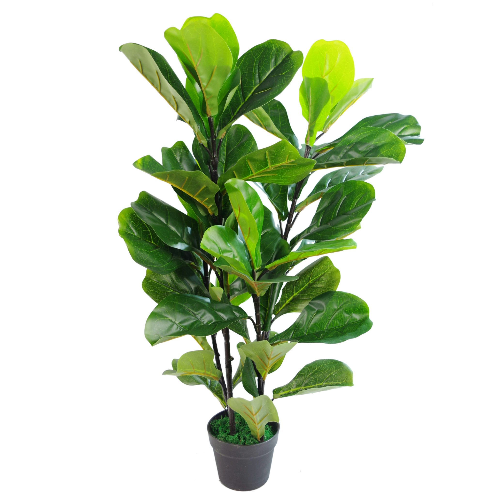 Leaf Green 90Cm (3Ft) Large Artificial Fiddle Fig Tree Ficus Lyrata Plant - 90Cm - 90Cm