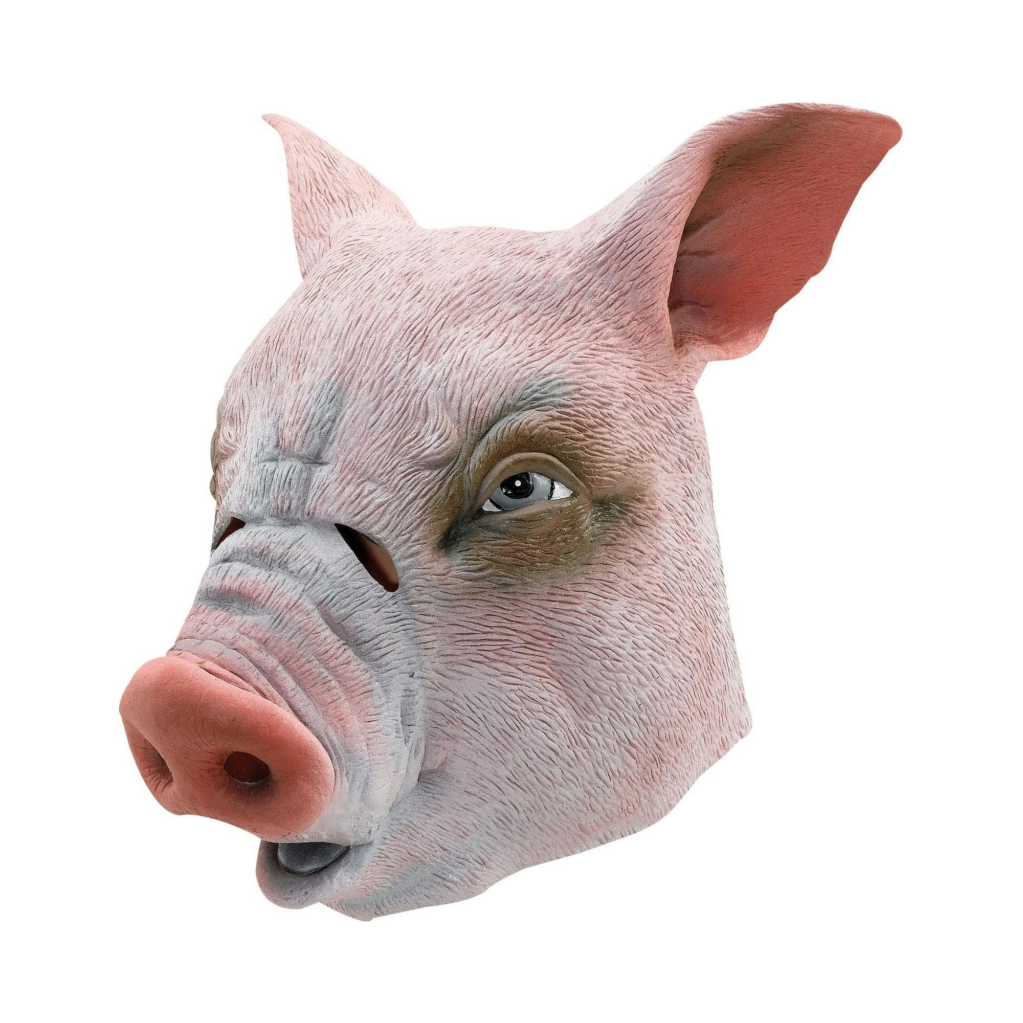 Bristol Novelty Unisex Pink Pig Rubber Head Mask - One Size