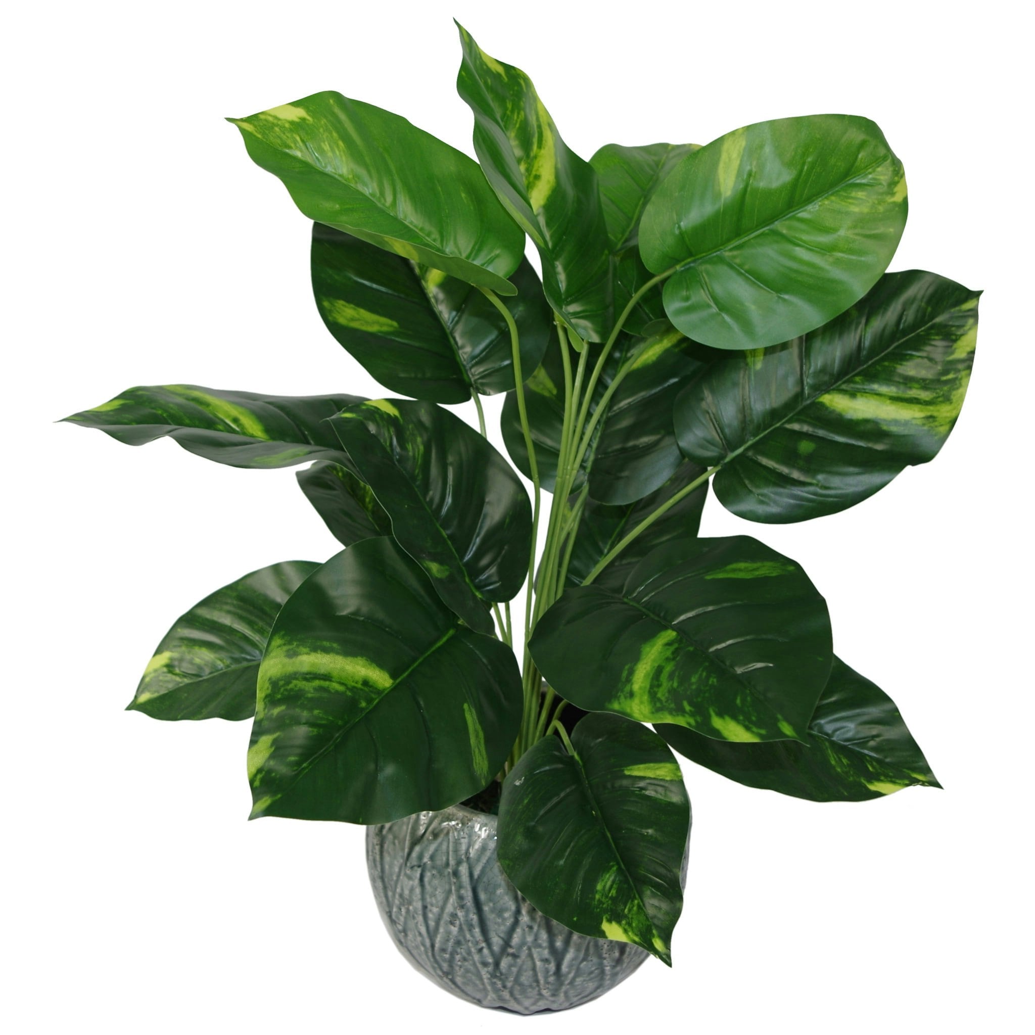 Leaf Green 60Cm Artificial Devil's Ivy (Scindapsus Aureus) Plant - 60Cm - /Variegated - 60Cm