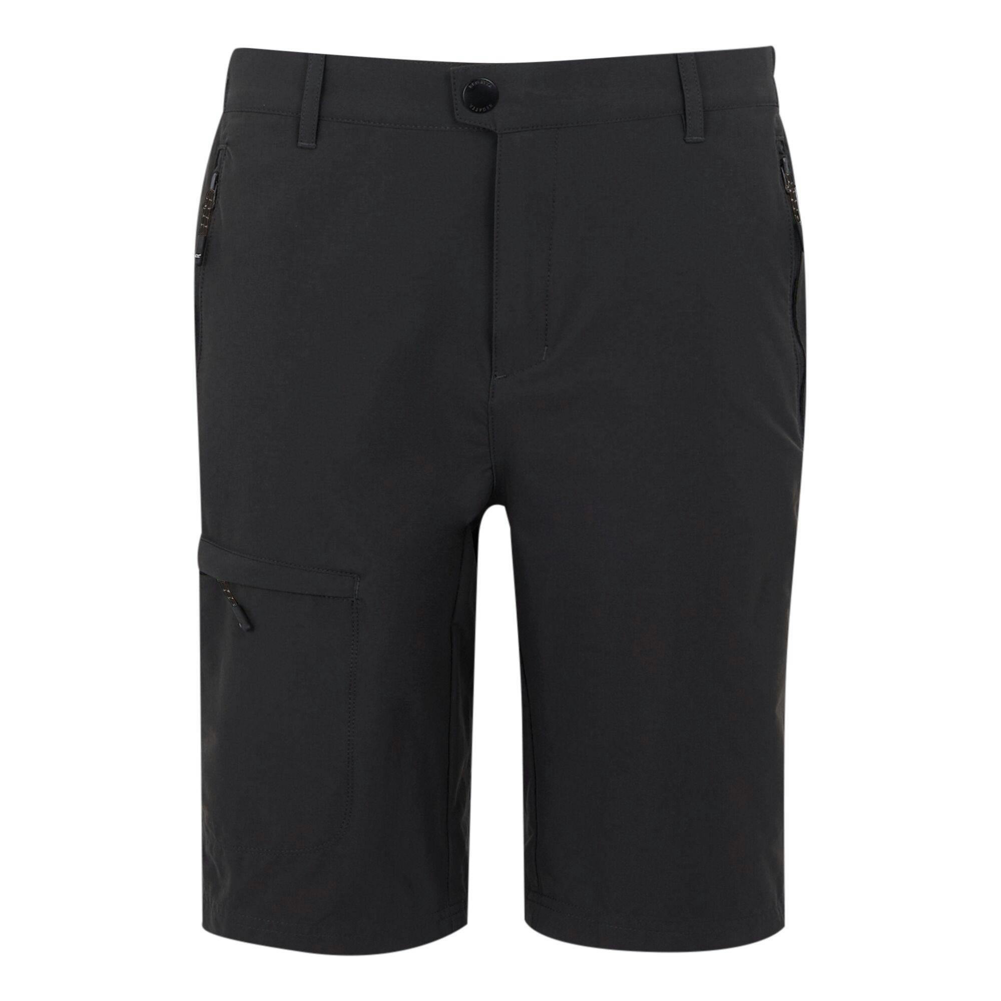 Regatta (42R, Ash) Mens Highton Ii Long Length Walking Casual Shorts - Image 2