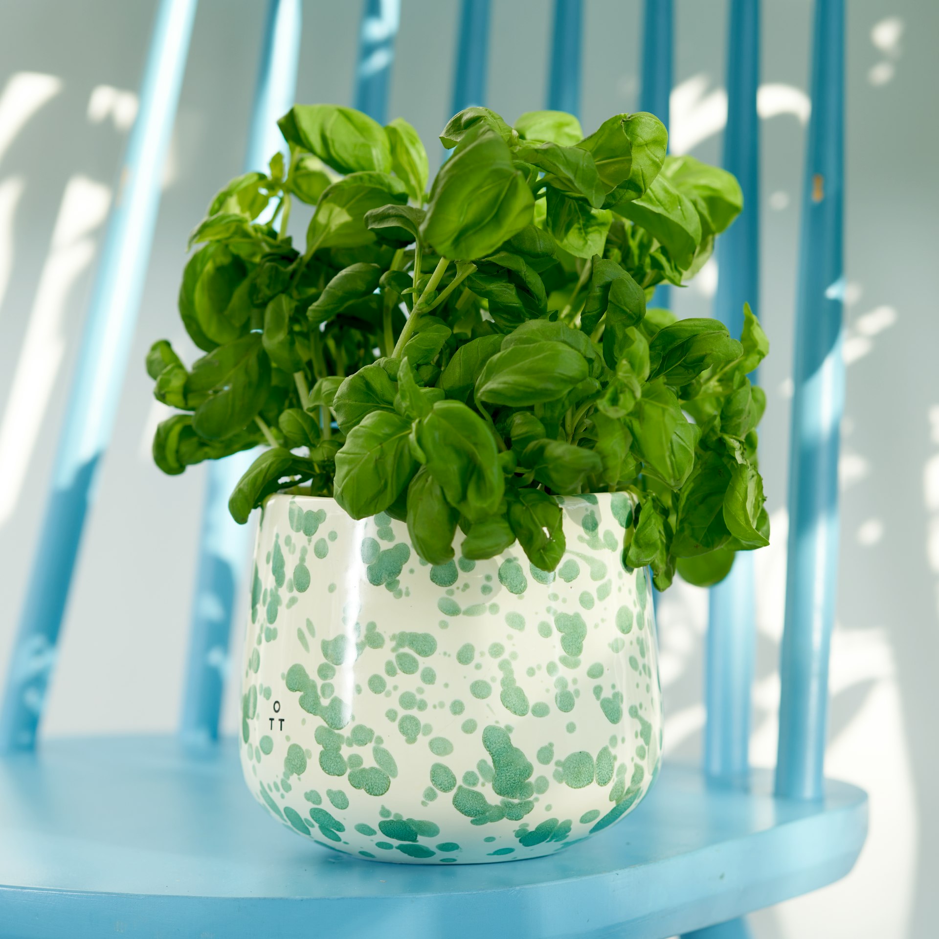 Hot Pottery Indoor Planter Pistachio