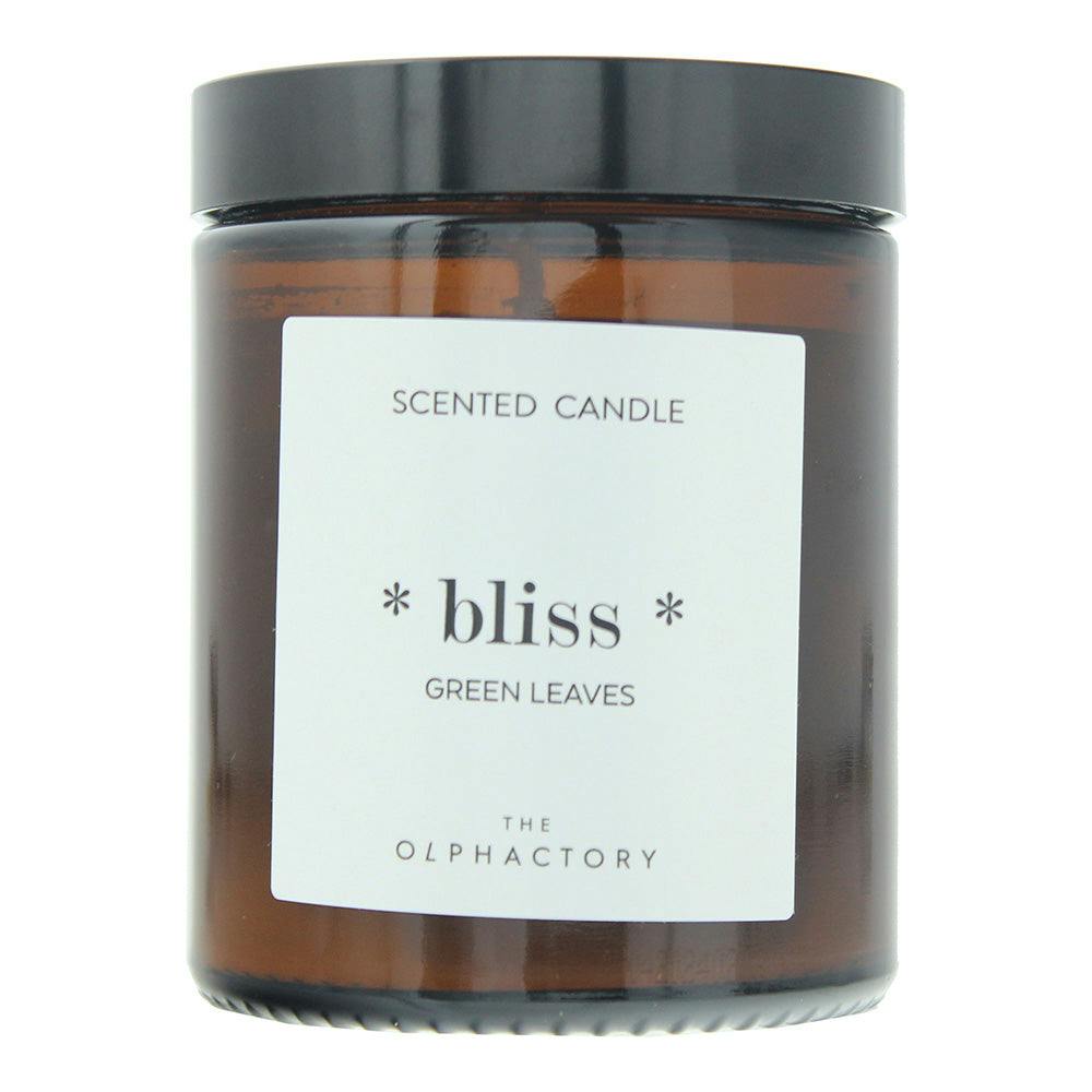 The Olphactory Green Bliss Leaves Scented Candle 135G