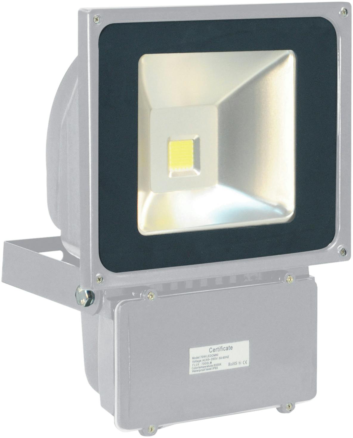 Eagle Light/Grey 70W Led Flood