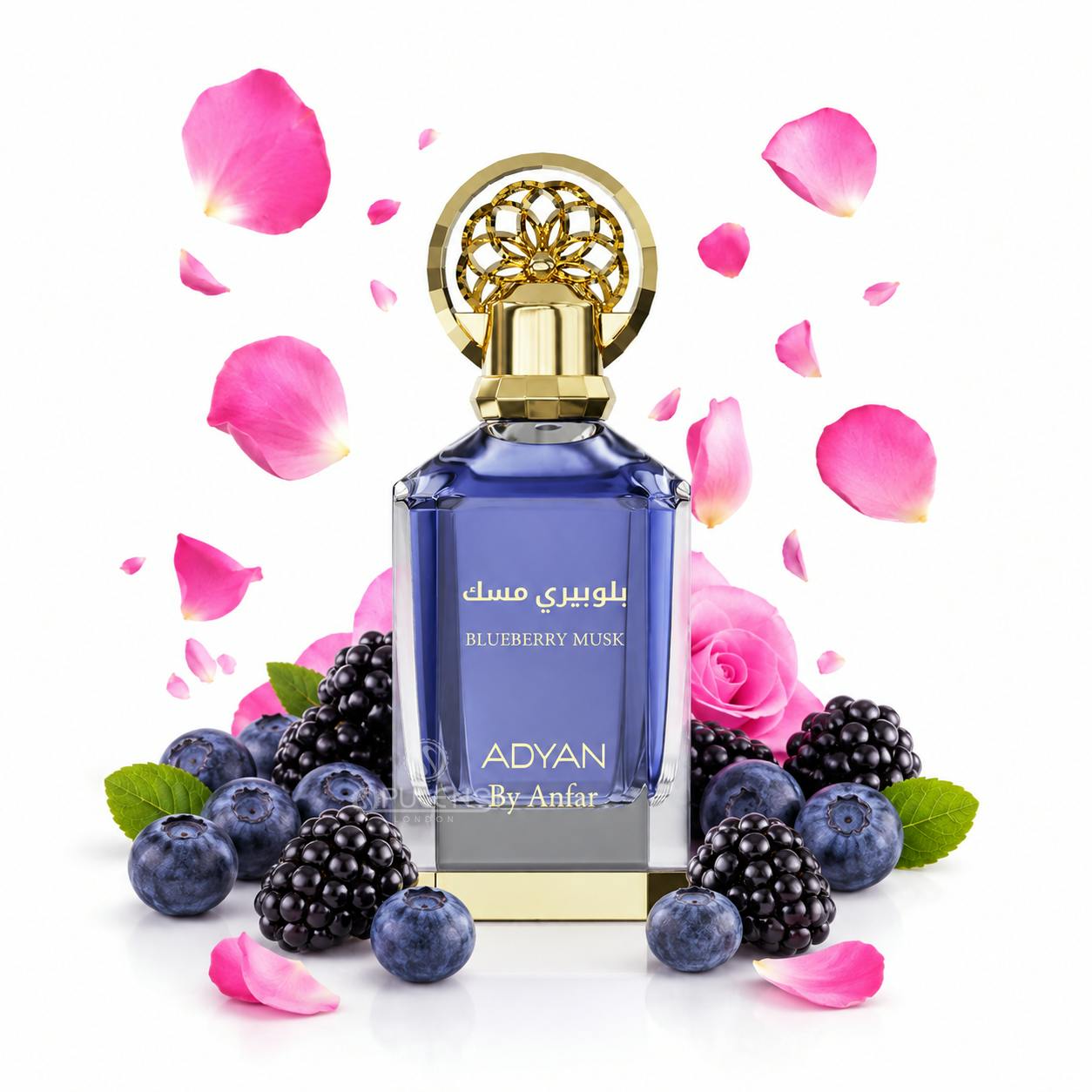 Adyan Unisex Lavender Blueberry Musk 12Ml Concentrated Perfume Oil