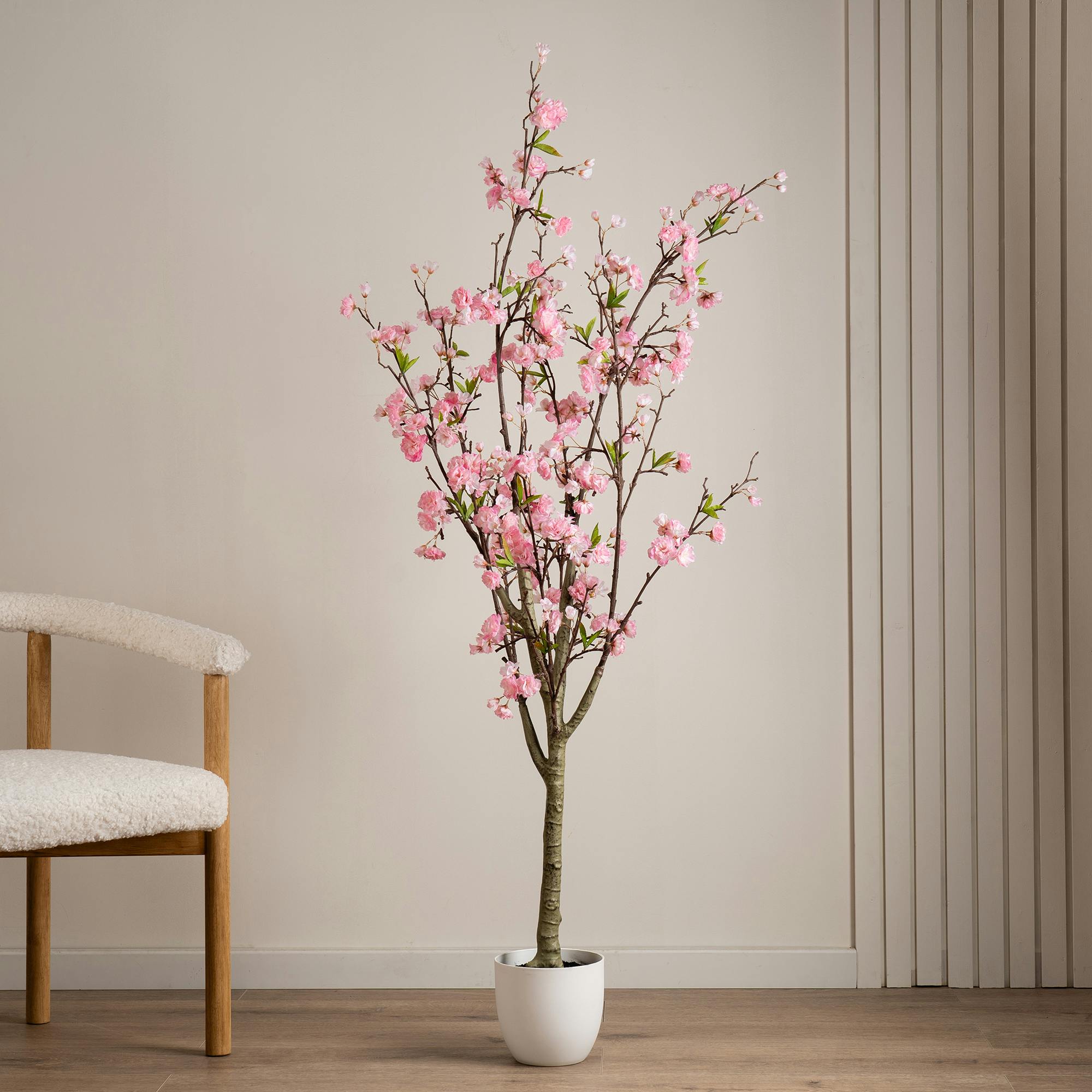 Scottish Everlastings Pink 160Cm Cherry Blossom Tree