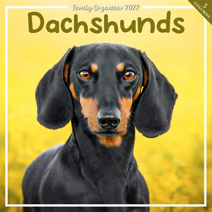 Dachshund Family Organiser 2027 - Image 3
