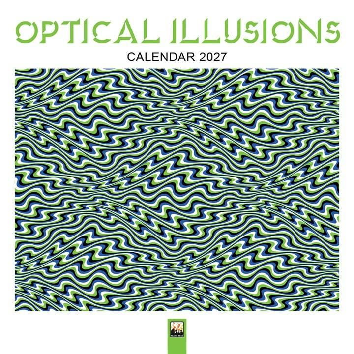 Optical Illusions Wall Calendar 2027 (Art Calendar) by  Flame... - 9781806940257 - Image 9