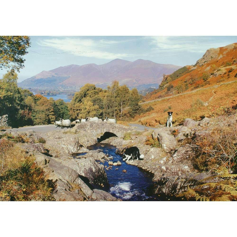 The House Of Puzzles Thirsty Work 1000 Piece Puzzle
