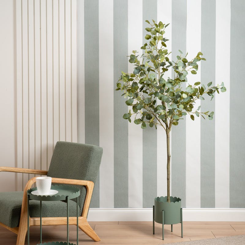 Scottish Everlastings Green/Black 160Cm Eucalyptus Tree