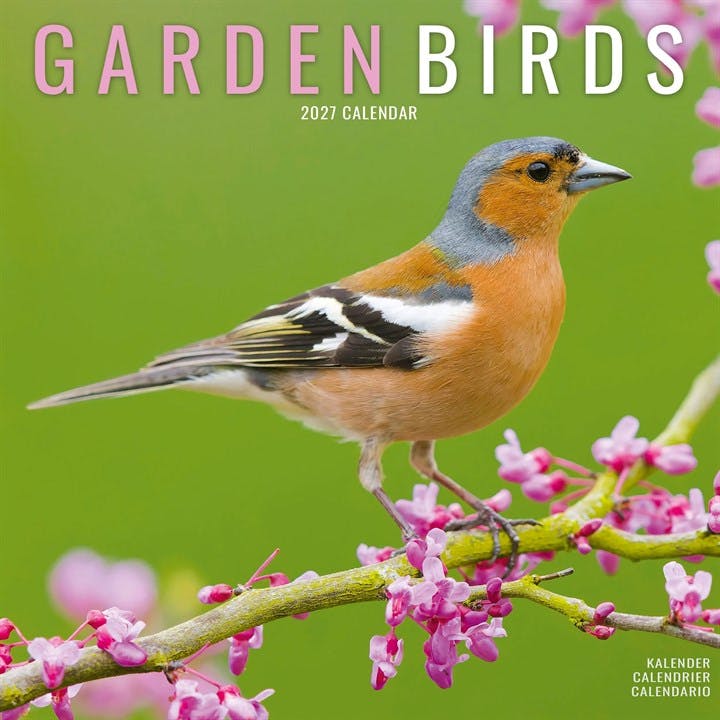 Garden Birds Calendar 2027, Wall Calendars, Month To View, Animals, Gift - Image 7