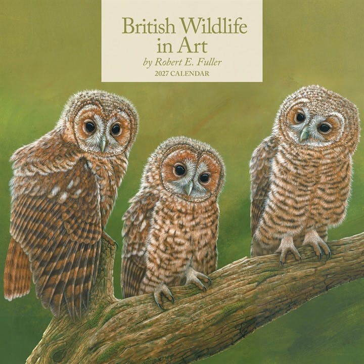 Rackhams Robert Fuller, British Wildlife In Art Calendar 2027, Wall Calendars, Month To View, Animals, Gift