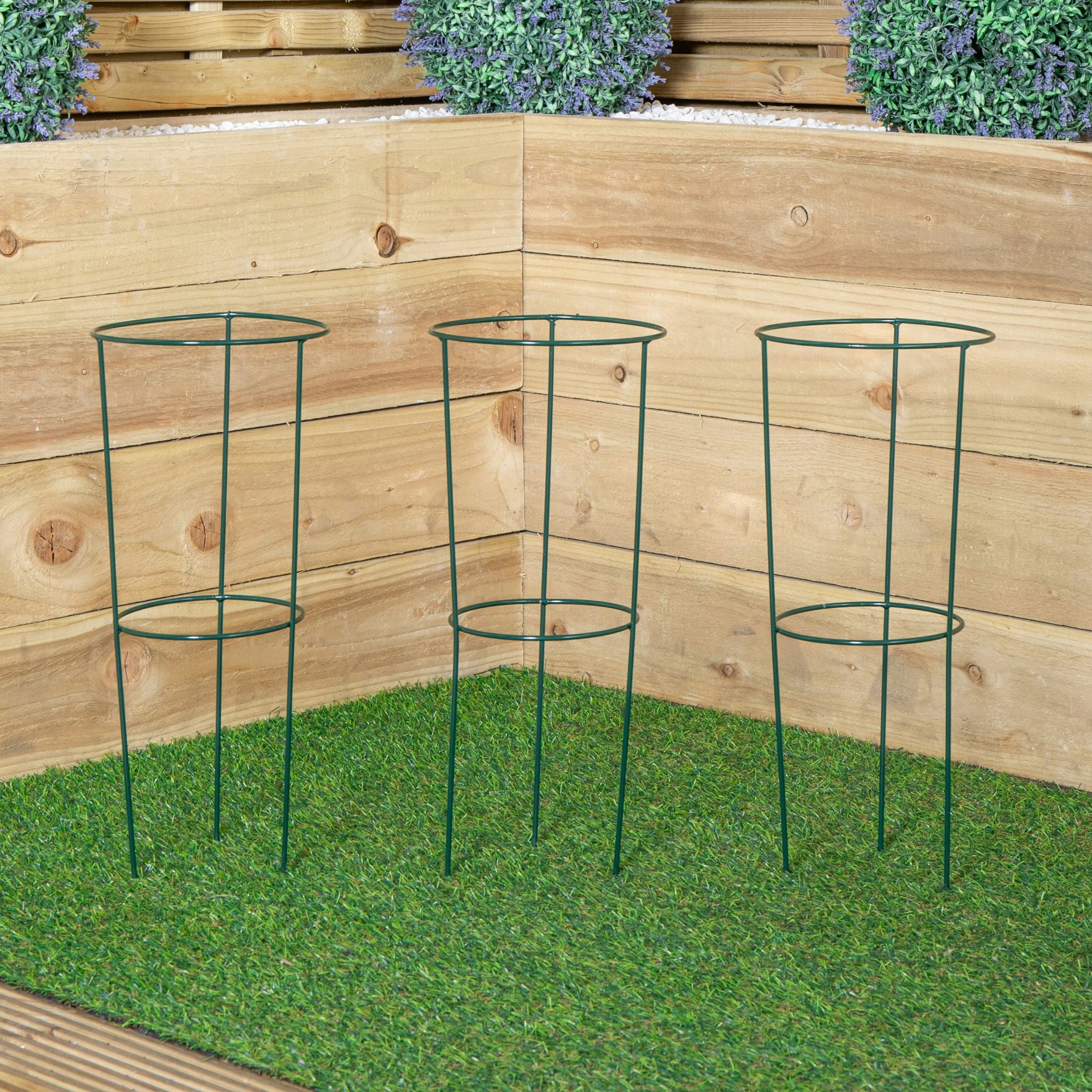 Rackhams Green Tom Chambers Pack Of 3 Urban Conical Garden Plant Support Ring 20Cm- Small