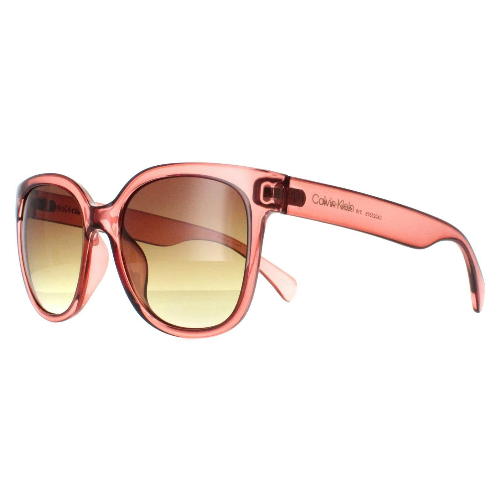 Calvin Klein Women's Brown Ck22553s Transparent Sunglasses