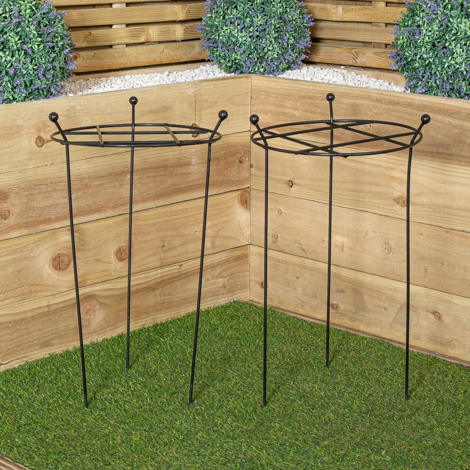 Rackhams Black Tom Chambers Pack Of 2 Cottage Heavy Duty Metal Steel Herbaceous Garden Plant Support Grow Through Small 60Cm X 35Cm
