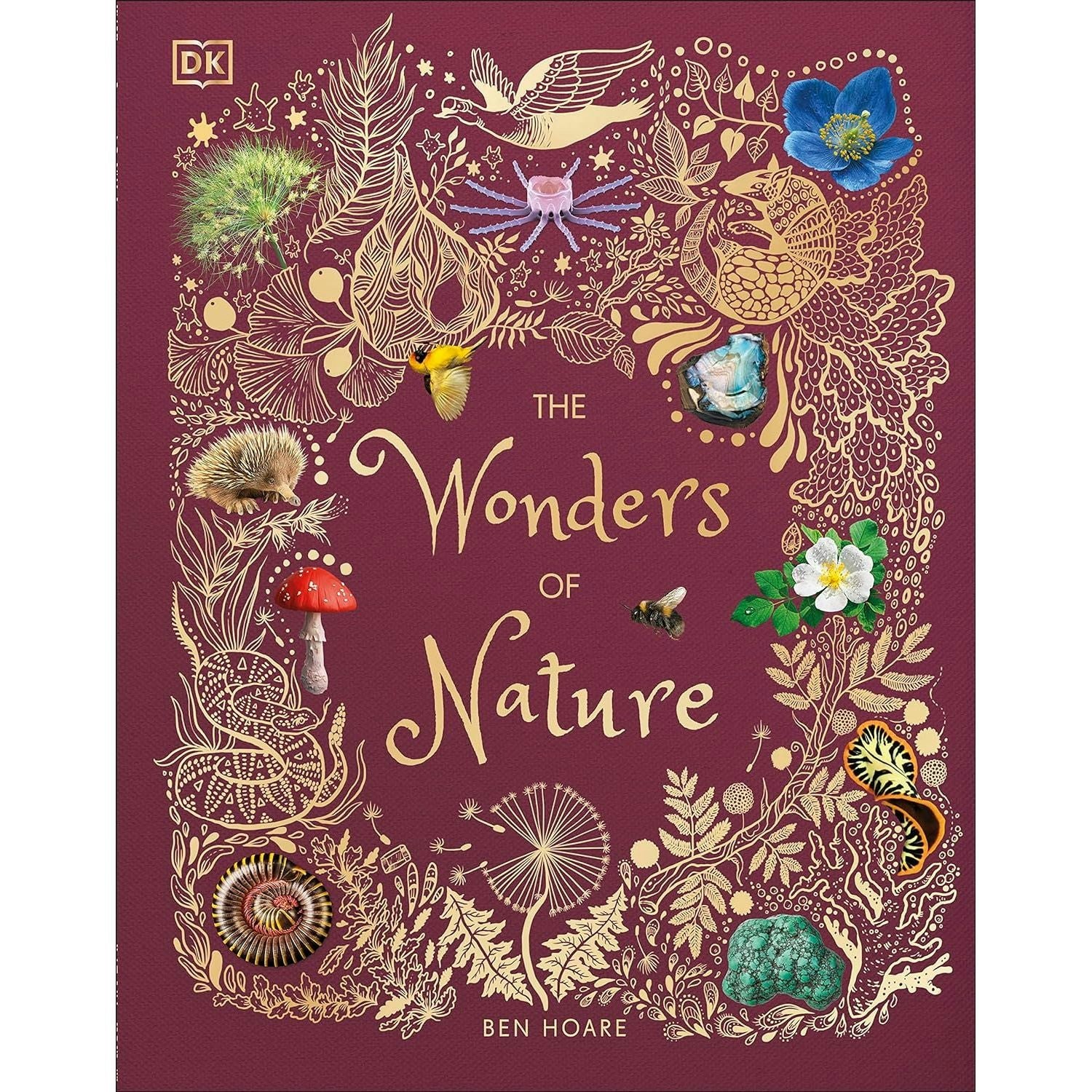 The Wonders of Nature (DK Childrens Anthologies) Book | Ben Hoare NEW - Image 2