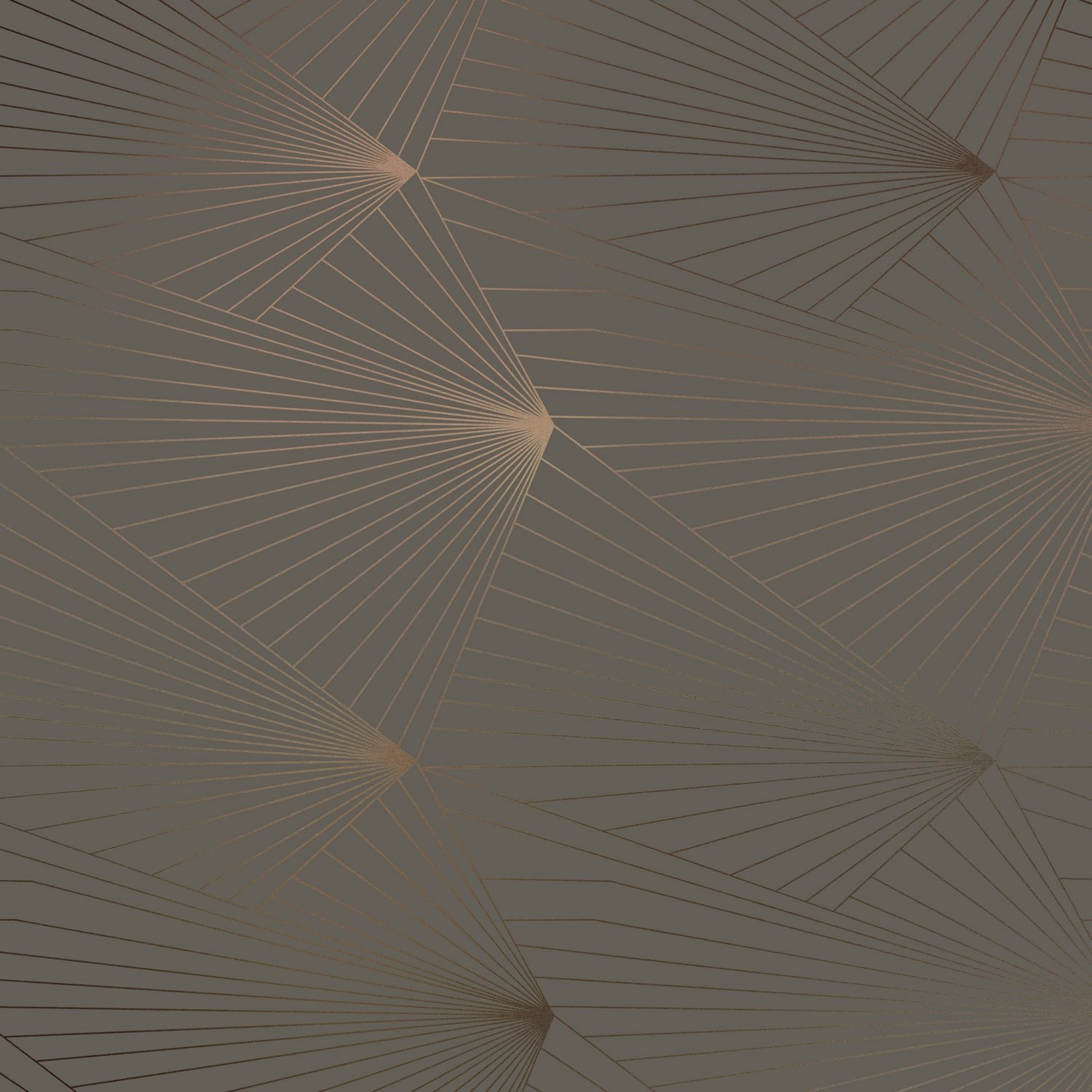 Rackhams Bronze/Brown Fan And Cocoa Wallpaper - 10M Roll