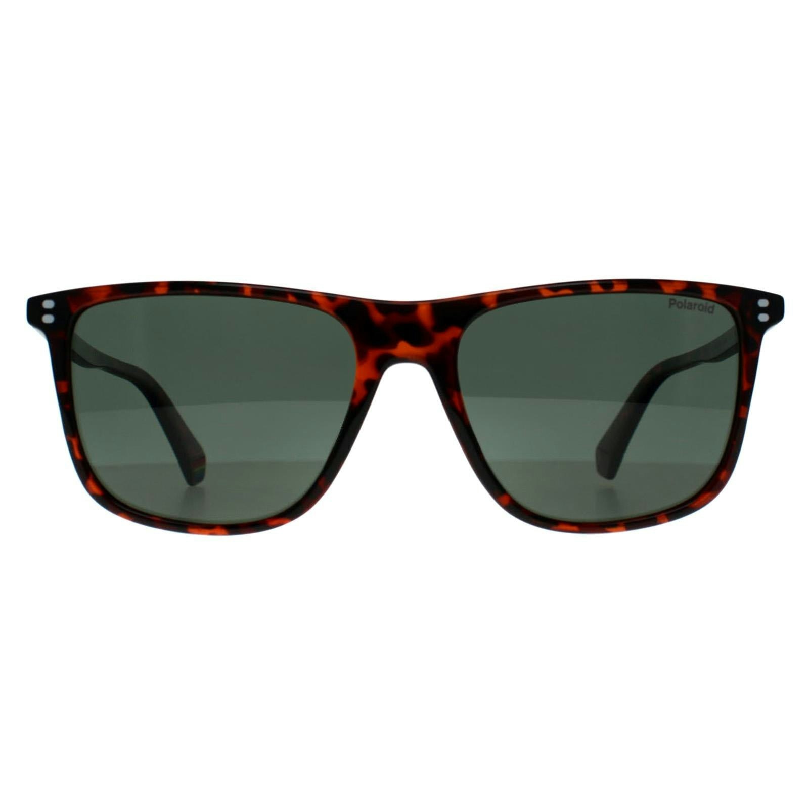 Polaroid Men's Green Pld 6232/S Havana Sunglasses