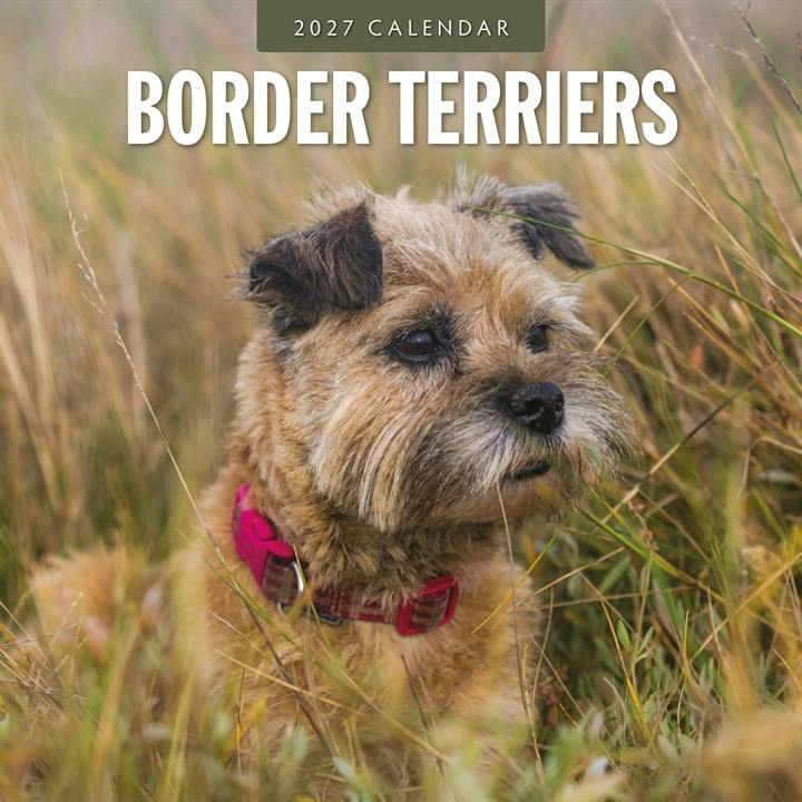 Border Terriers Calendar 2027, Wall Calendars, Month To View, Dogs, Gift - Image 3
