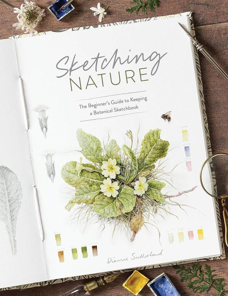 Sketching Nature: The Beginner’s Guide to Keeping a Botanical Sketchbook by Di - Image 8